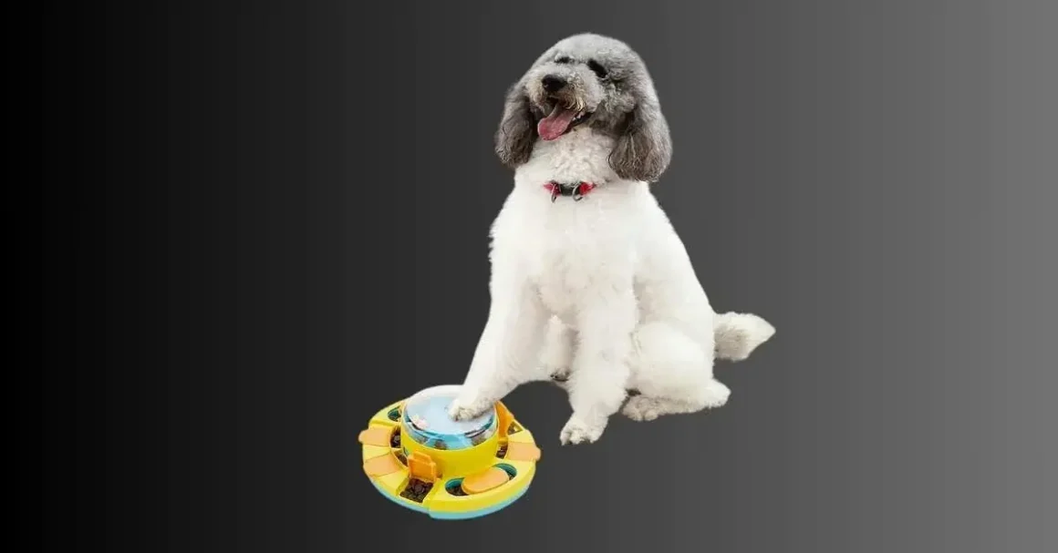 robot toys for dogs