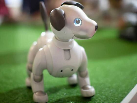 Robot Dog Toy