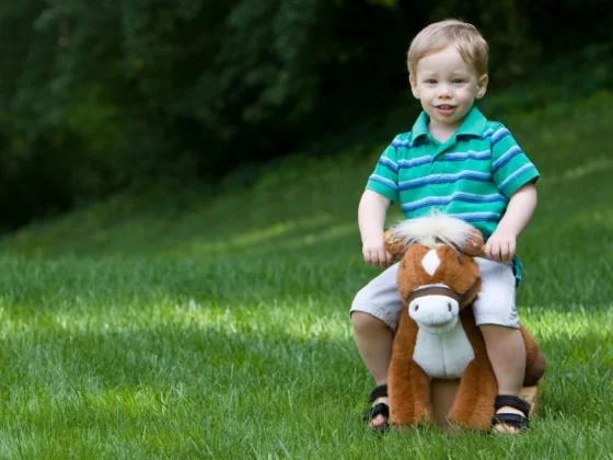 "Robot Horse Toy - A Futuristic Plaything"