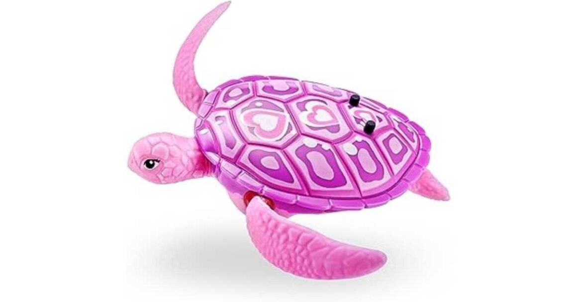 robot turtle toy