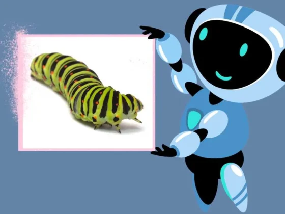 larva robot toys