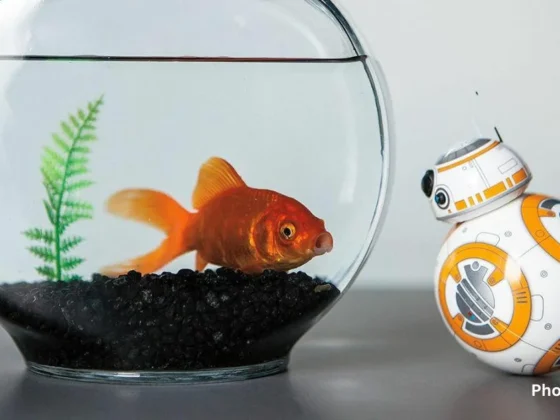 BB8 Rolling Toy - A Cute and Iconic Droid Toy in Motion