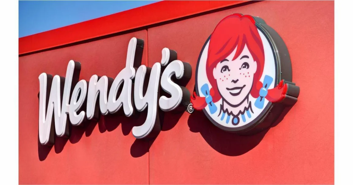 Wendy's Robot Toys - A Playful Collection of Wendy's Themed Robot Toys