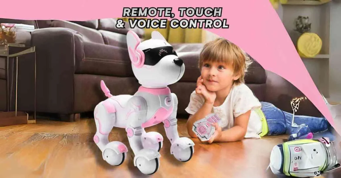 Colorful Robot Toys for 5-Year-Olds - Interactive and Educational Playthings"