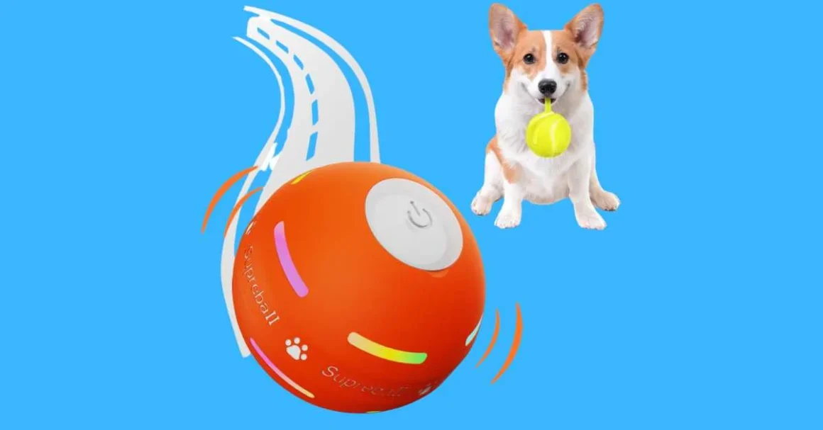 Adorable Robot Toys for Dogs - Interactive and Engaging Playtime