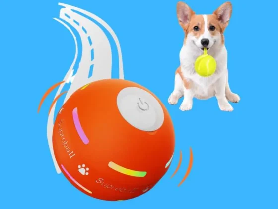 Adorable Robot Toys for Dogs - Interactive and Engaging Playtime